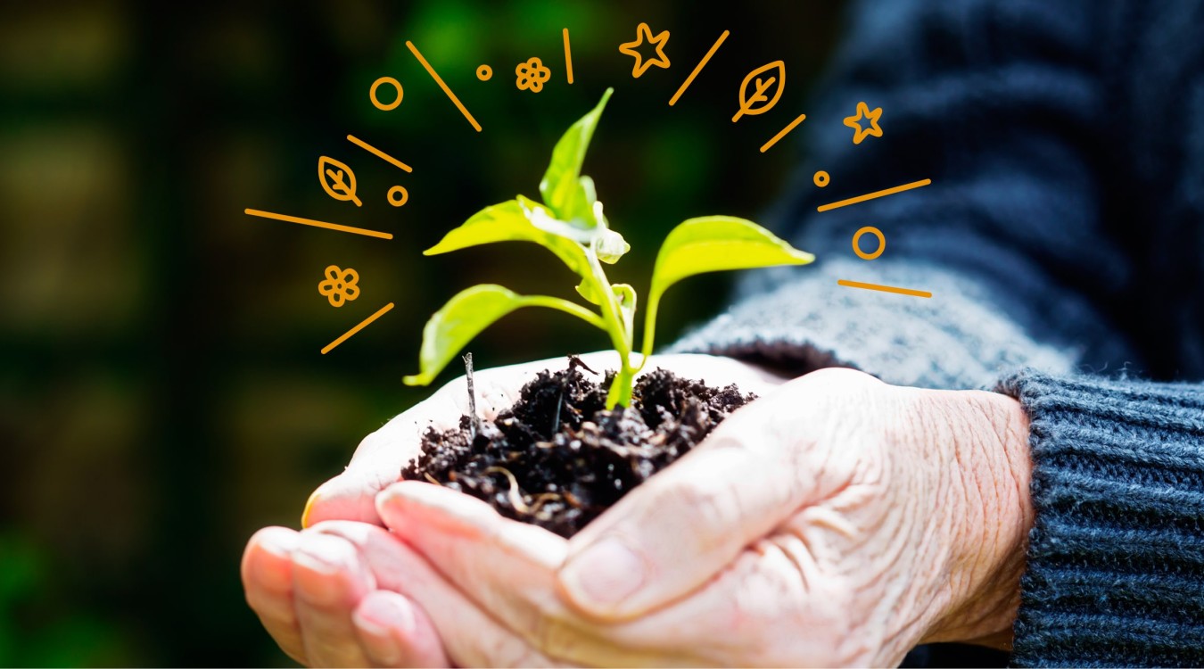 Setzling Quartierplus