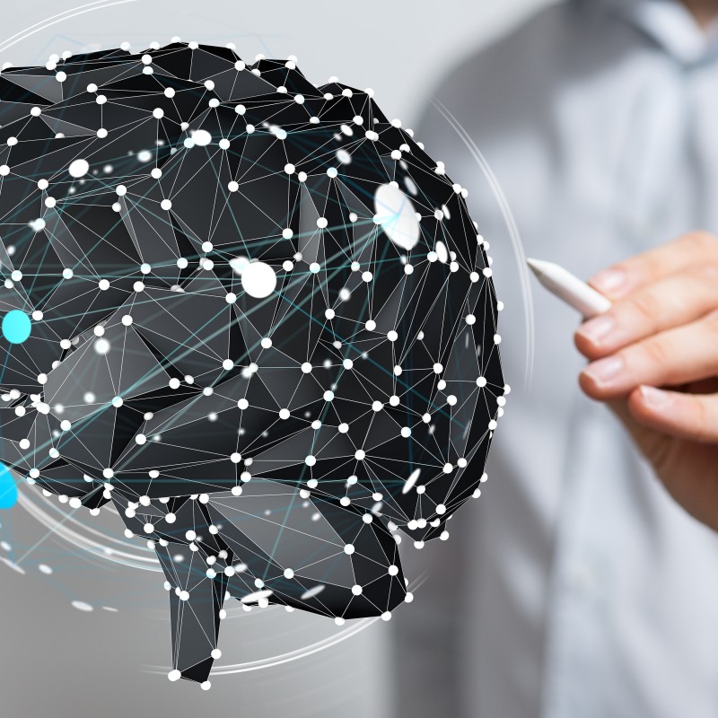 Forschung und Wissenschaft, Hirnmodell.