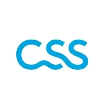 CSS Logo